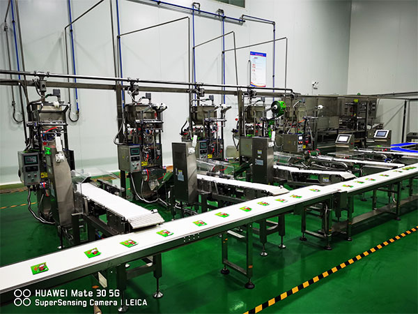 調(diào)料醬自動(dòng)包裝流水線